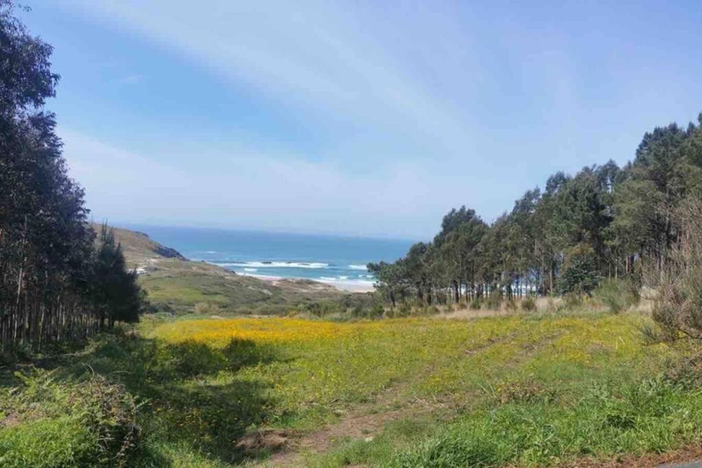 Junto Camino De Santiago,1ª Linea De Playa Lejlighed Finisterre Eksteriør billede
